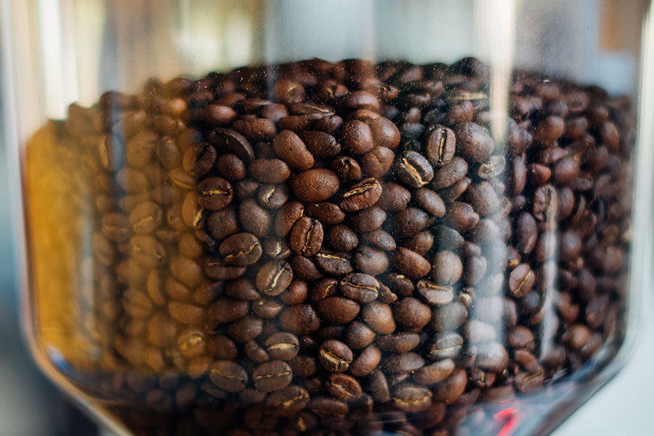 Best Commercial Coffee Grinder: 2021 Buyer’s Guide