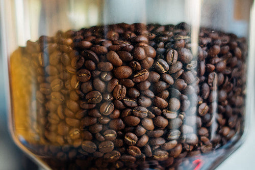 Best Commercial Coffee Grinder: 2021 Buyer’s Guide