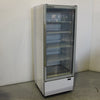 Skope BME600-A Upright Fridge (2)