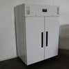 Polar DL897-A 2 Door Upright Freezer (2)
