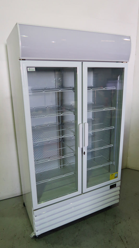 THERMASTER - LG-1000GE (2)