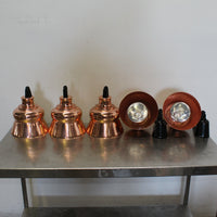 Ranno HLP0002 5 x Heat Lamps (2)