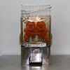 Orange Juicer XC-2000E-3 Juicer (3)