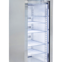 Airex AXR.URGN.1 - Upright Fridge