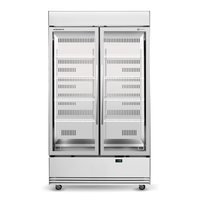 SKOPE ActiveCore 2 BME1200N-A - Upright Display Fridge