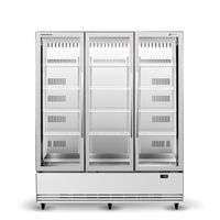 SKOPE ActiveCore 2 BME1500N-A - Upright Display Fridge