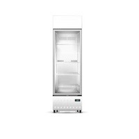 SKOPE Serene SC430N - Display Fridge