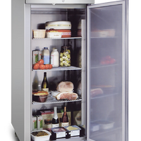 Bromic UC0650SD-NR - Upright Storage Fridge